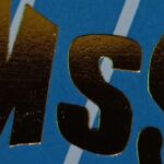 PT Mentari Selaras Sejahtera Company Logo PT Mentari Selaras Sejahtera Logo